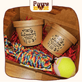 Combo Dog Treat and Toy Gift Box