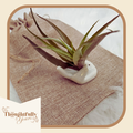 Hand Held Air Plant