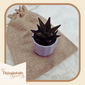 Desk Succulent Plant with Vase