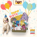 Dog Birthday Gift Box