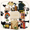 Luxury Paws Box Dog Gift Box